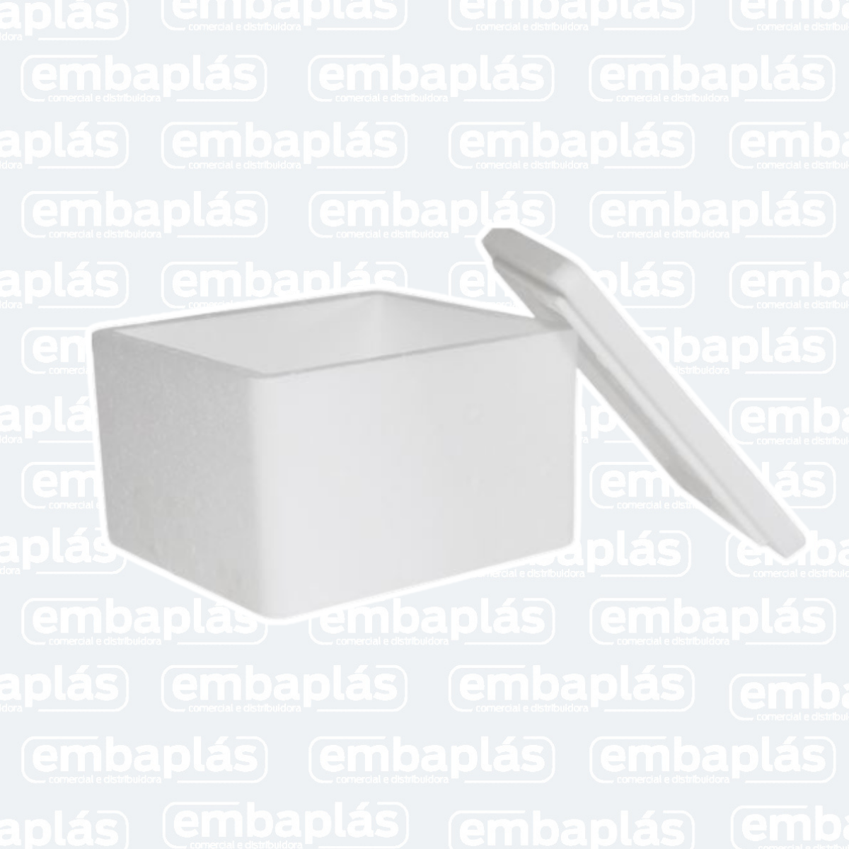 Caixa P/ Alimentos 1Kg - ISOTERM