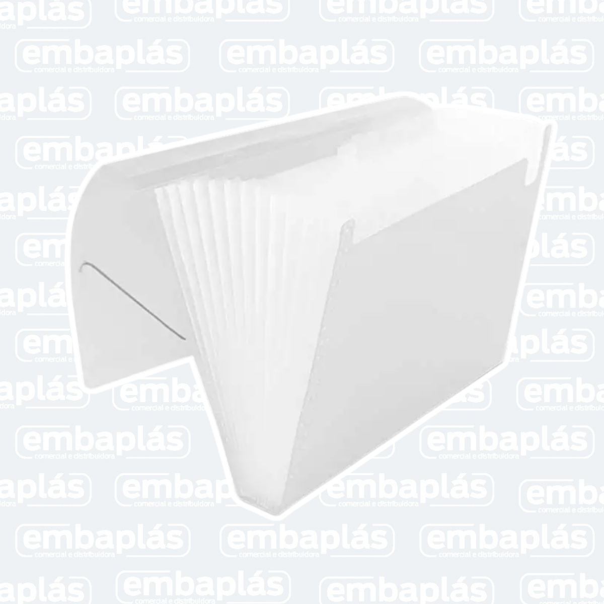 Pasta Sanfonada 31 Div A4 - ACP