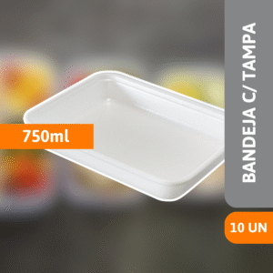 Bandeja De Isopor C/ Tampa MO90 10 Un - MEIWA