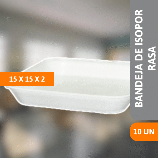 Bandeja De Isopor FR01 Rasa 15x15x2cm 10 Un - SPUMAPAC - Imagem 2
