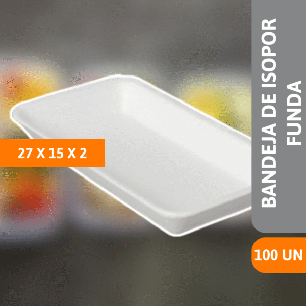 Bandeja De Isopor FF04 Funda 27x15x2cm 10 Un - SPUMAPAC - Imagem 2