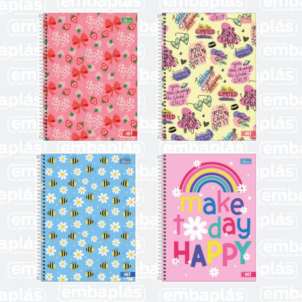 Caderno Universitário Capa Dura 16x1 256Fls Hit Fem - TILIBRA