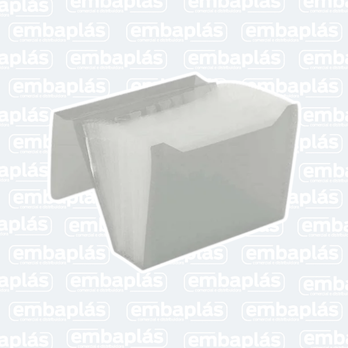 Pasta Sanfonada 12 Div Duplicata Cristal - ACP