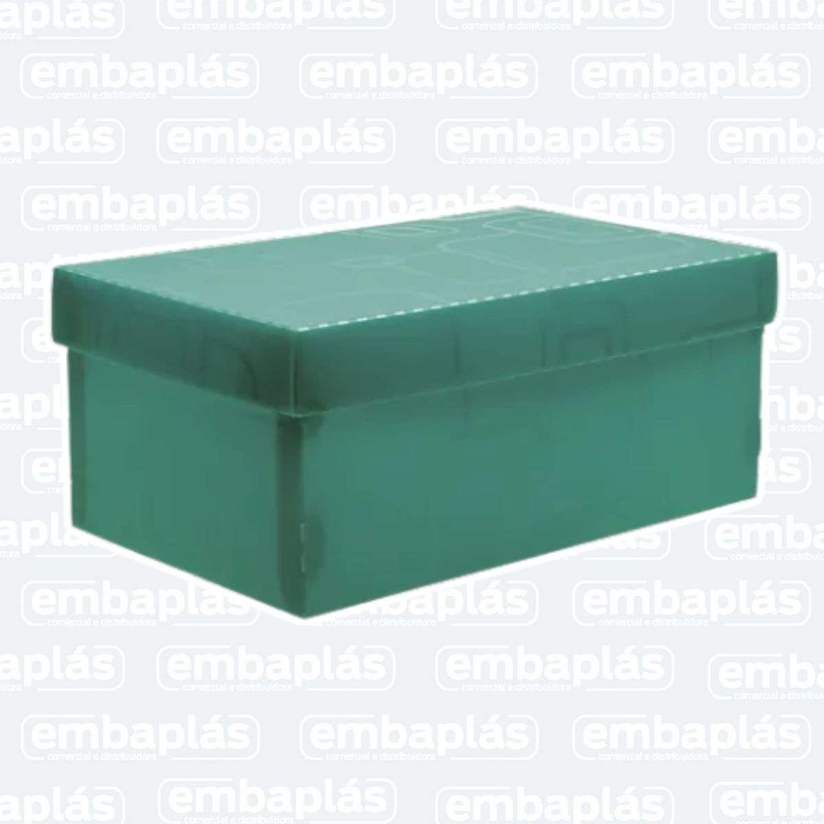 Caixa Organizadora Mini Verde - POLIBRAS